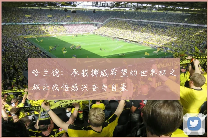 哈兰德：承载挪威希望的世界杯之旅让我倍感兴奋与自豪