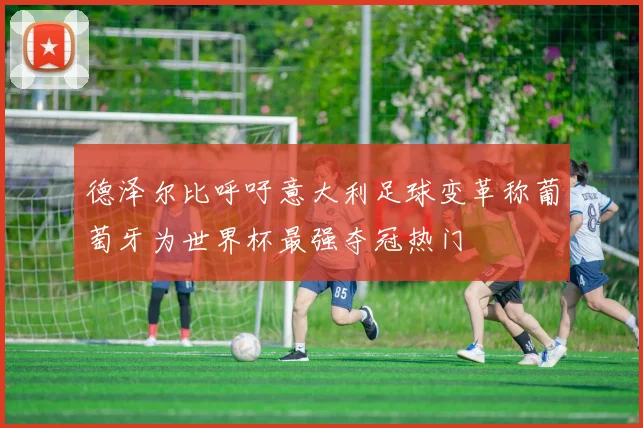 德泽尔比呼吁意大利足球变革称葡萄牙为世界杯最强夺冠热门